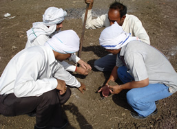 Soil Inspection